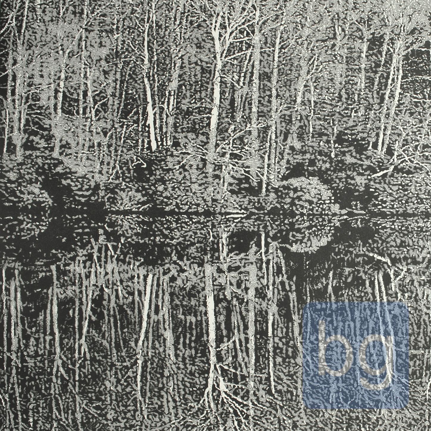 Reflections IV. 35.5x35.5cm drypoint and engraved relief 1