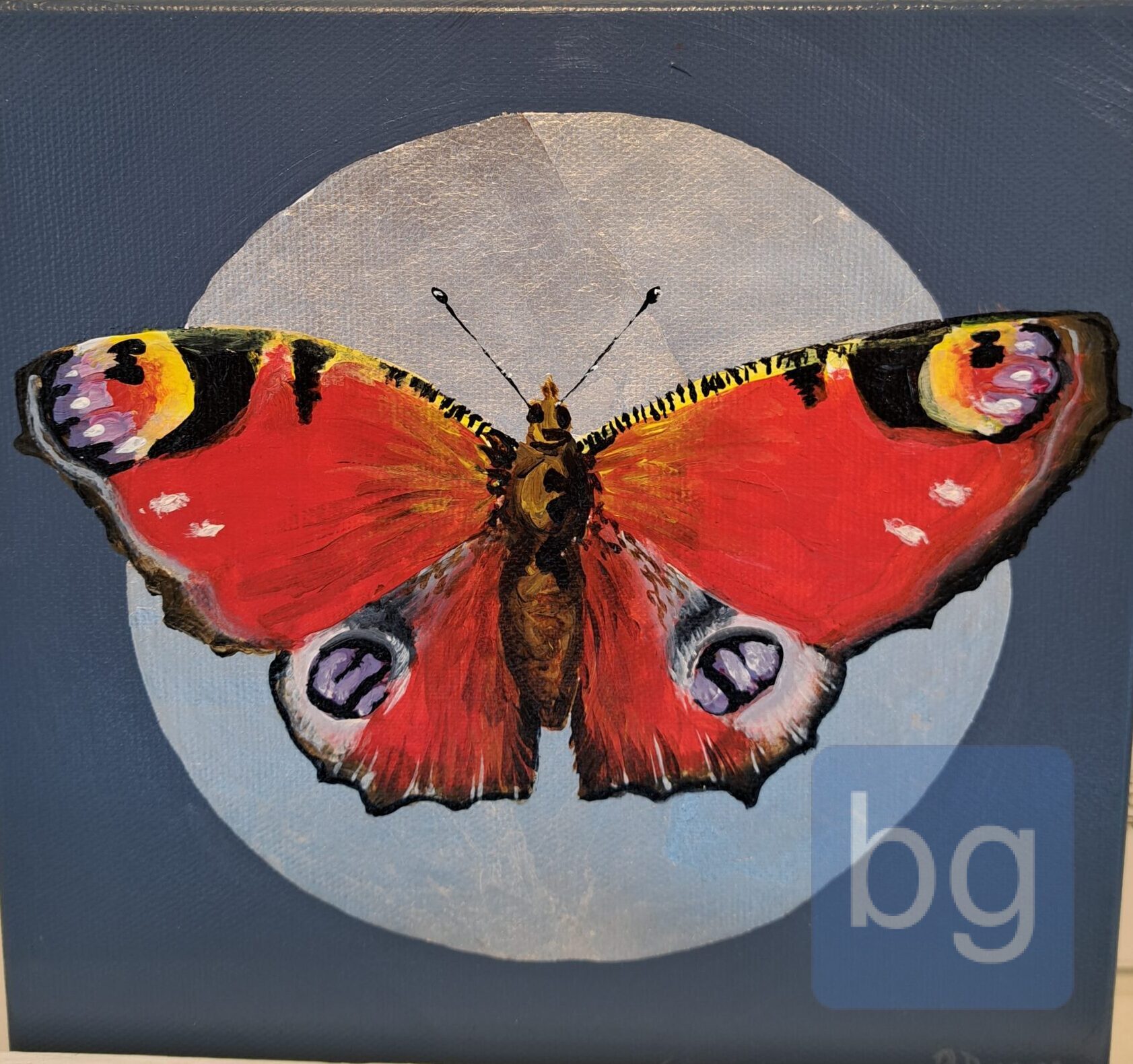 Peacock Butterfly