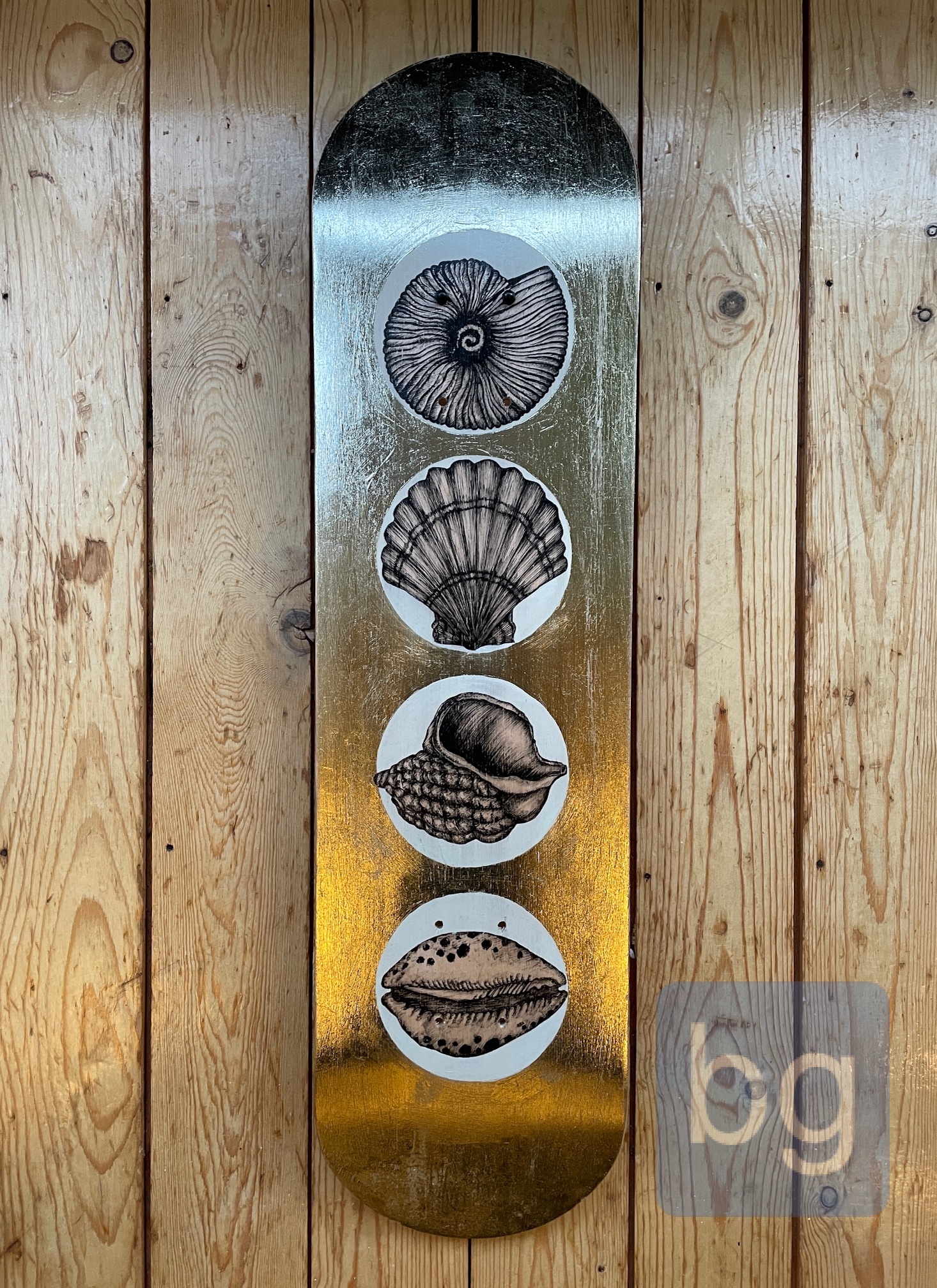 sea shells
