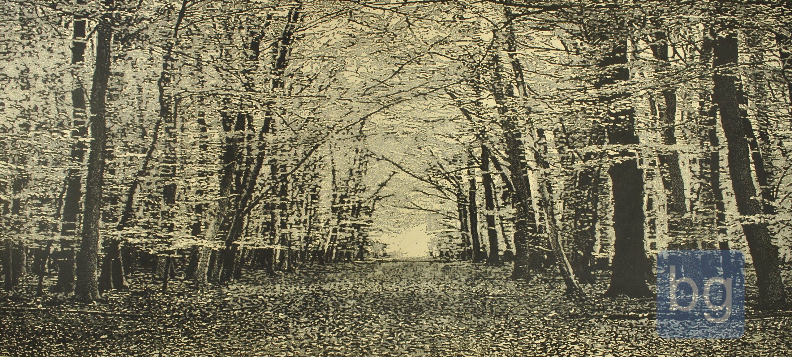 The Beech wood II. Trevor Price Drypoint and engraved relief print 48 x 102cm
