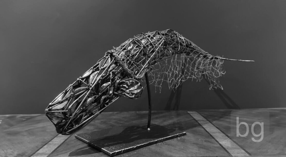 Whale 1