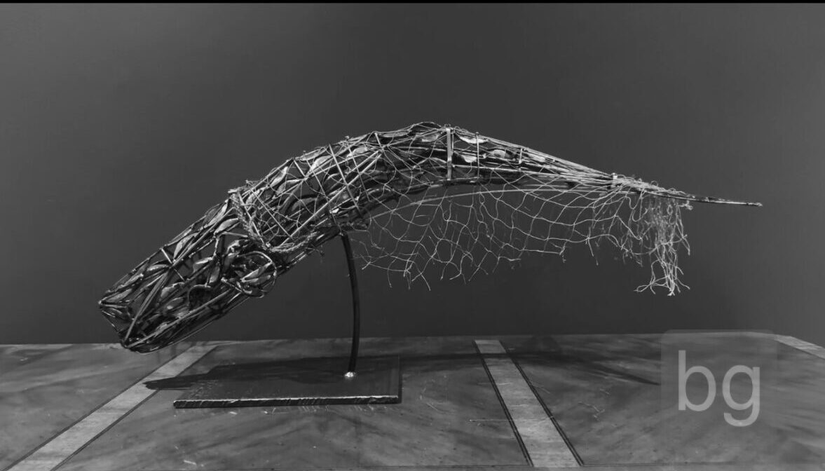 whale