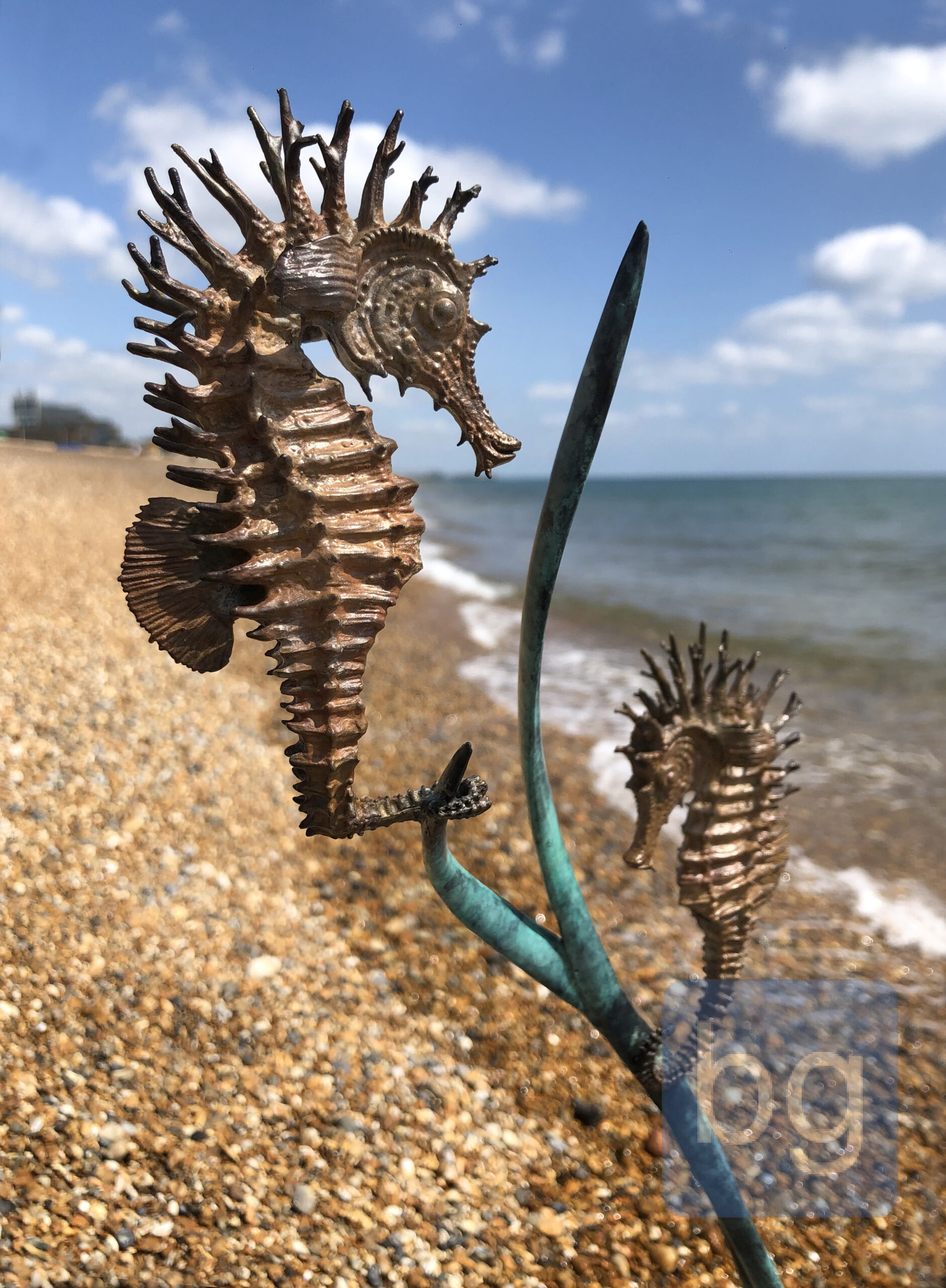 Seahorses III