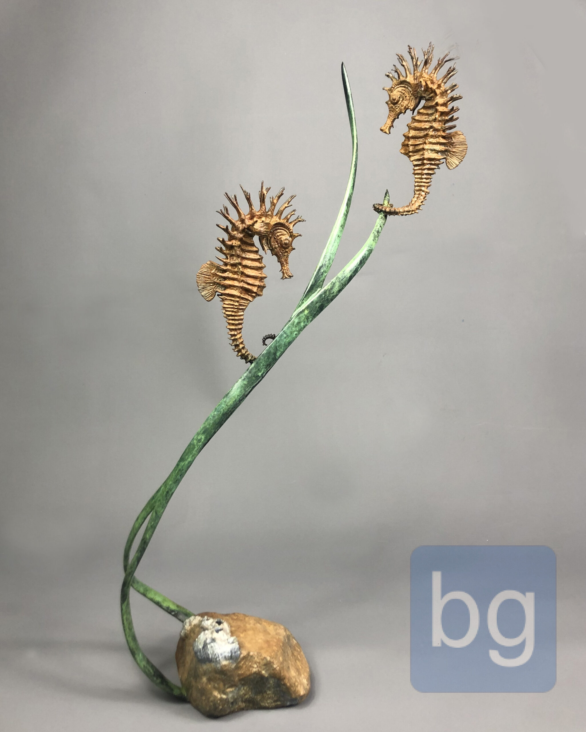 seahorses